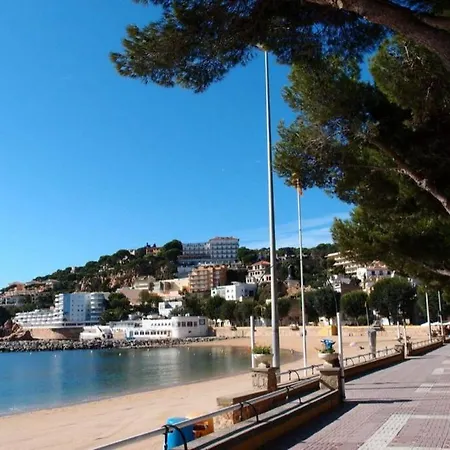 Apartment Nuevo Moderno Elisa - A 80 Metros De La Playa 5 Personas